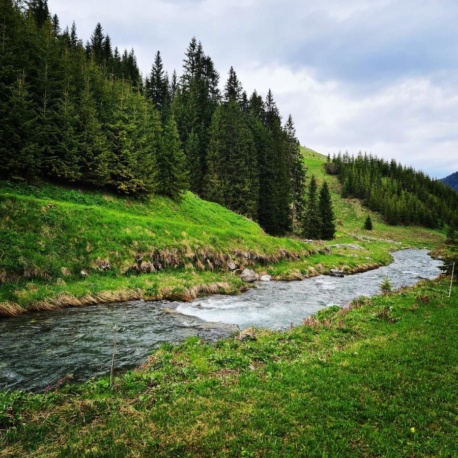 Fewo D'Rock Arosa- Center Of Nightlife By Nature Apartments Switzerland 外观 照片