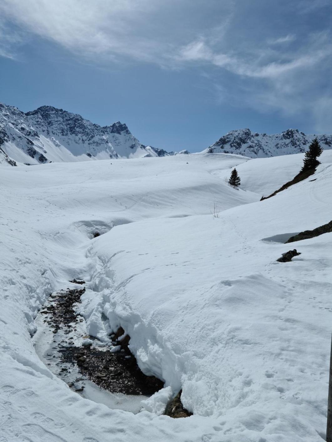 Fewo D'Rock Arosa- Center Of Nightlife By Nature Apartments Switzerland 外观 照片