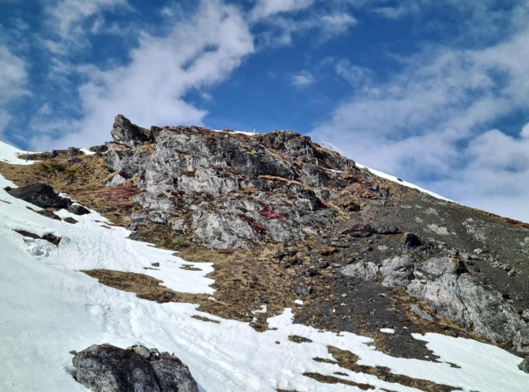 Fewo D'Rock Arosa- Center Of Nightlife By Nature Apartments Switzerland 外观 照片