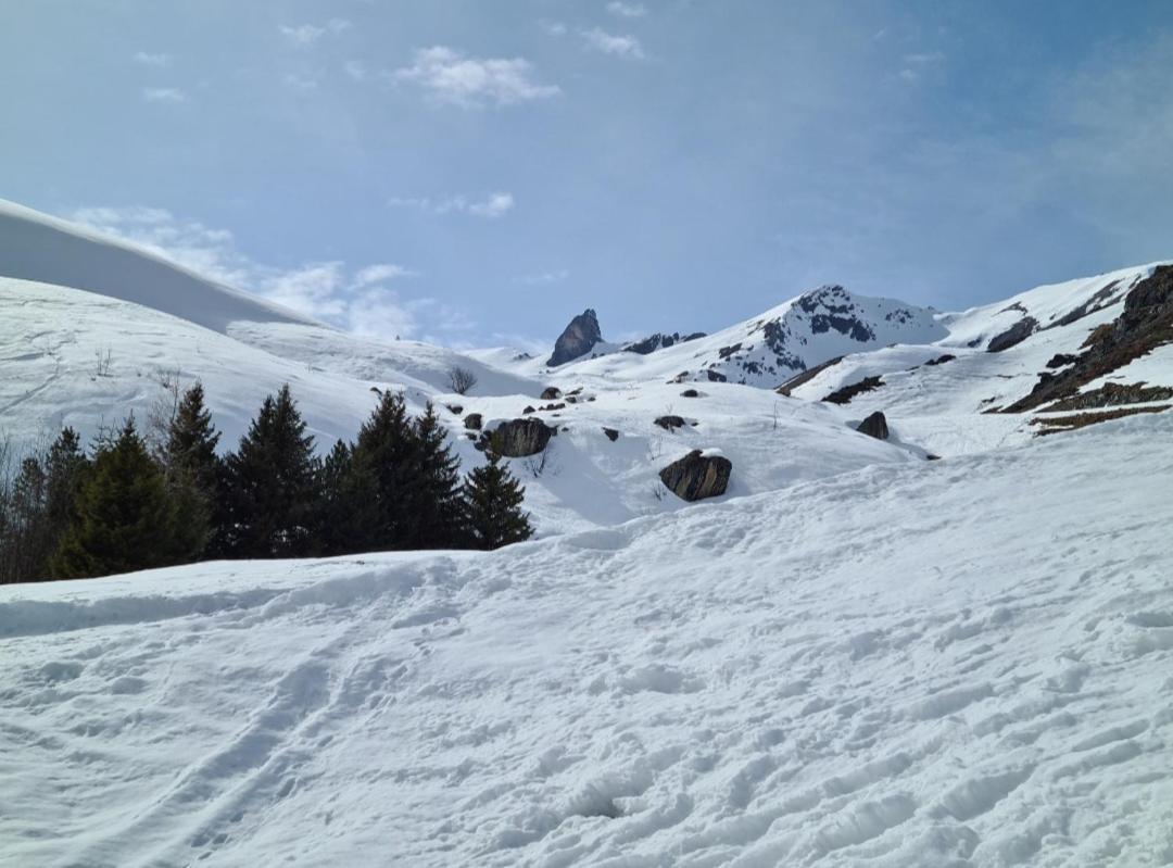 Fewo D'Rock Arosa- Center Of Nightlife By Nature Apartments Switzerland 外观 照片