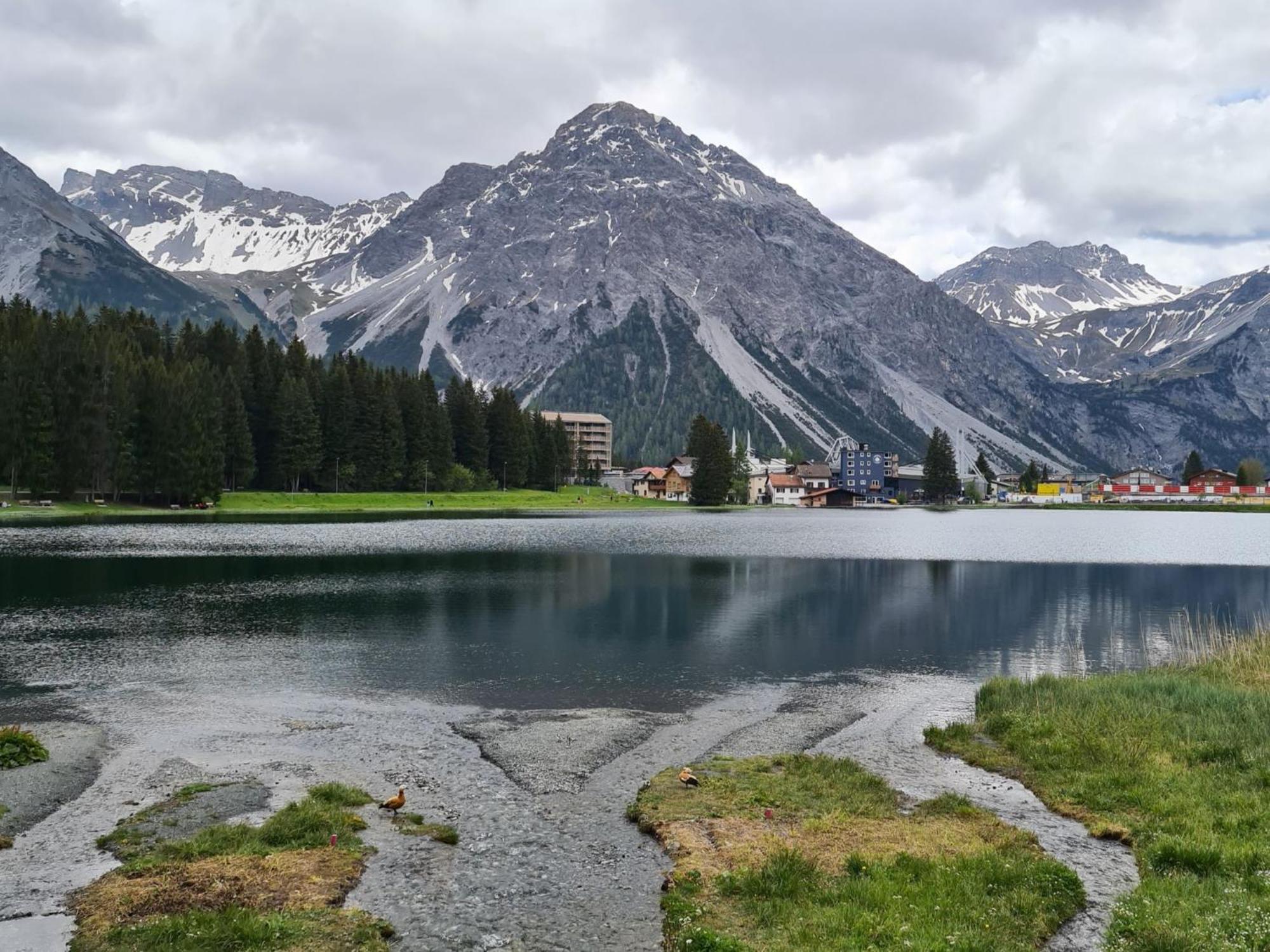 Fewo D'Rock Arosa- Center Of Nightlife By Nature Apartments Switzerland 外观 照片